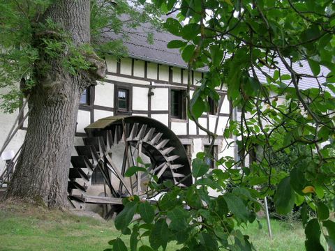 A historic building with a water wheel stands next to a large tree. The surroundings are green and inviting.