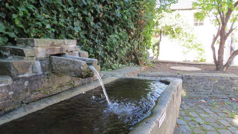 A beautiful fountain with flowing water in a green environment. In the background, trees and a paved path are visible.