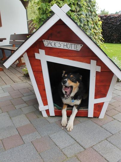 A dog is happily sitting in its doghouse. The house has a red color and a white frame.