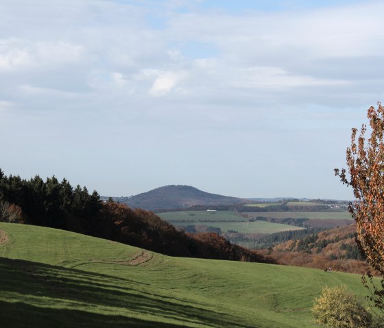 Gr&uuml;ne Wiesen und bunte Herbstb&auml;ume rahmen den Blick auf einen H&uuml;gel in der Ferne. Der Himmel ist leicht bew&ouml;lkt., &copy; Walter Schmitz