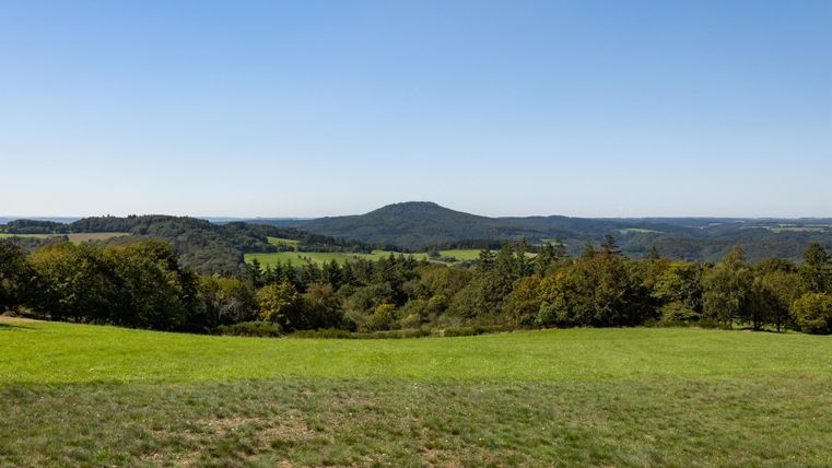 Eine weite Landschaft mit grünen Wiesen und sanften Hügeln. Der Himmel ist klar und blau.
