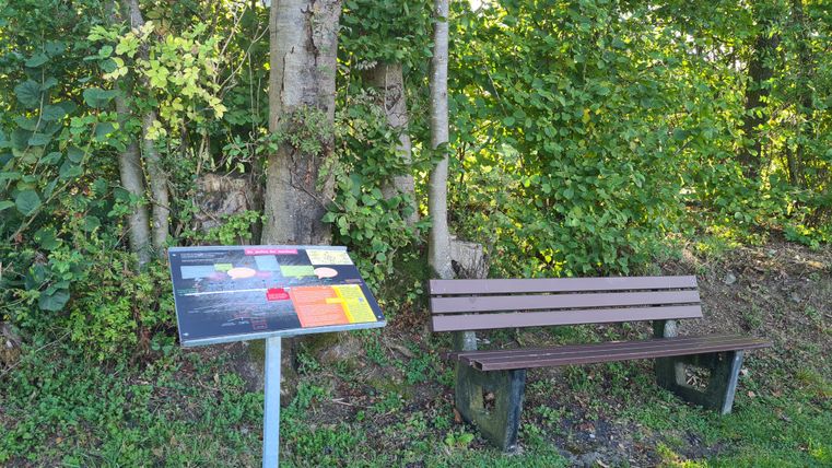 Eine Bank neben einem Informationsschild im Grünen.