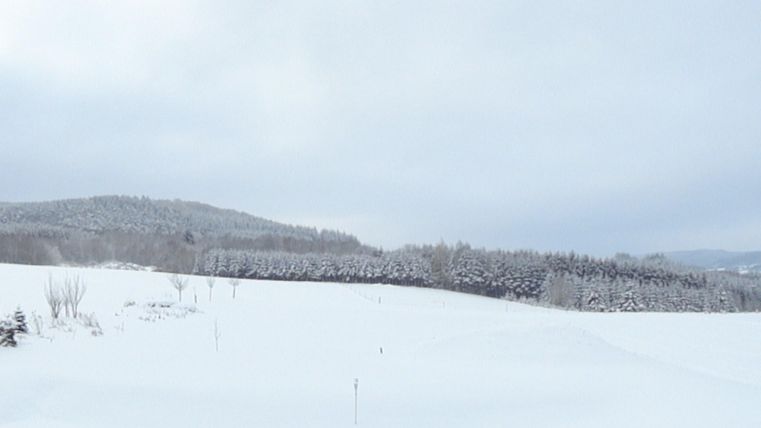 A snow-covered landscape with gentle hills and a cloudy sky. In the foreground, there are some trees that are covered with snow.