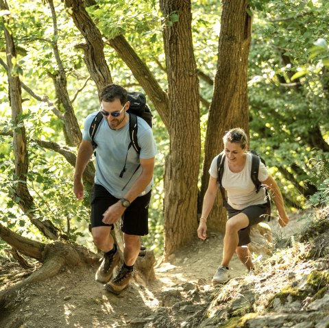 Waldpfad Etappe 5 AhrSteig, © Ahrtaltourismus, Dominik Ketz