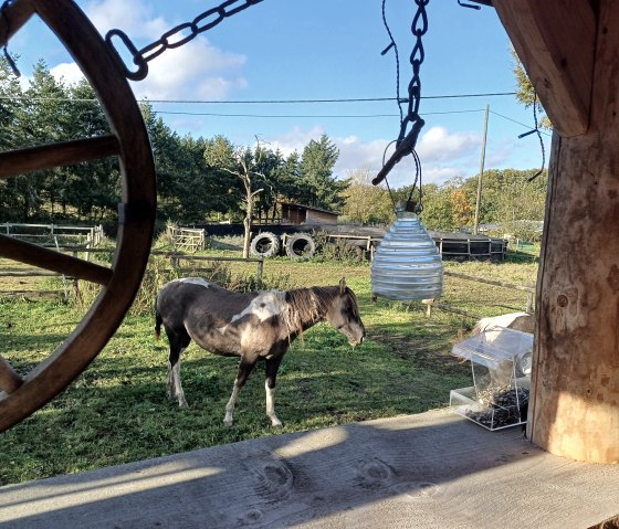 Blick von der Terasse, &copy; Martina Gebert