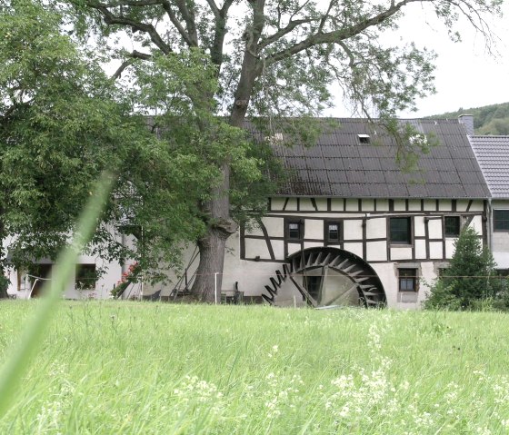 Hahnensteiner Mühle Dümpfelfeld, © Kerstin Coletta