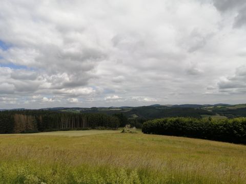 Eine weite Wiese mit grünem Gras und einem bewölkten Himmel. Im Hintergrund sind sanfte Hügel und Bäume zu sehen.