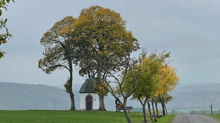 Une petite chapelle se trouve entre deux arbres sur une prairie. En arrière-plan, une route calme et un paysage vallonné sont visibles.