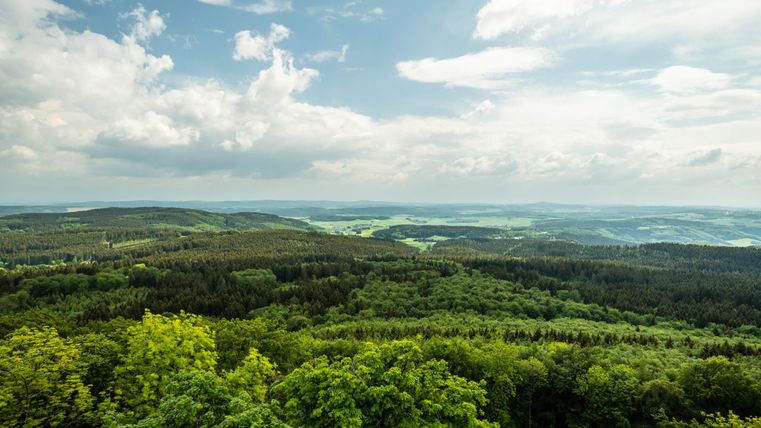 Eine weite Landschaft mit üppigen Wäldern und sanften Hügeln. Der Himmel ist teilweise bewölkt, und die Aussicht ist atemberaubend.