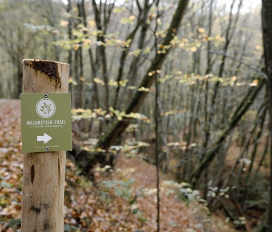 Un panneau indicateur pour le sentier des sauveteurs forestiers se trouve dans une forêt automnale. Le sol est recouvert de feuilles colorées et des arbres sont visibles en arrière-plan., © ©Wohlleben_Waldakademie