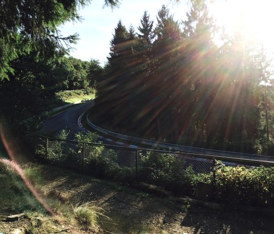 Sonnenstrahlen durchleuchten B&auml;ume an einer Kurve der Nordschleife. Die Strecke ist von einem Zaun und &uuml;ppiger Vegetation umgeben., &copy; Sebastian_Schulte, Tourist-Information Hocheifel-N&uuml;rburgring