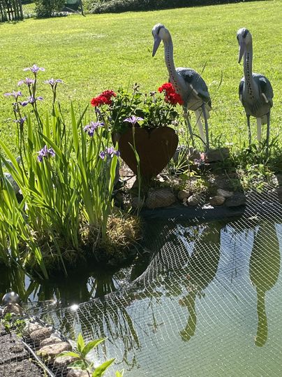 Een kleine vijver met twee kraanvogelfiguren staat in een mooie tuin. Rondom de vijver bloeien kleurrijke bloemen en het gras is groen.