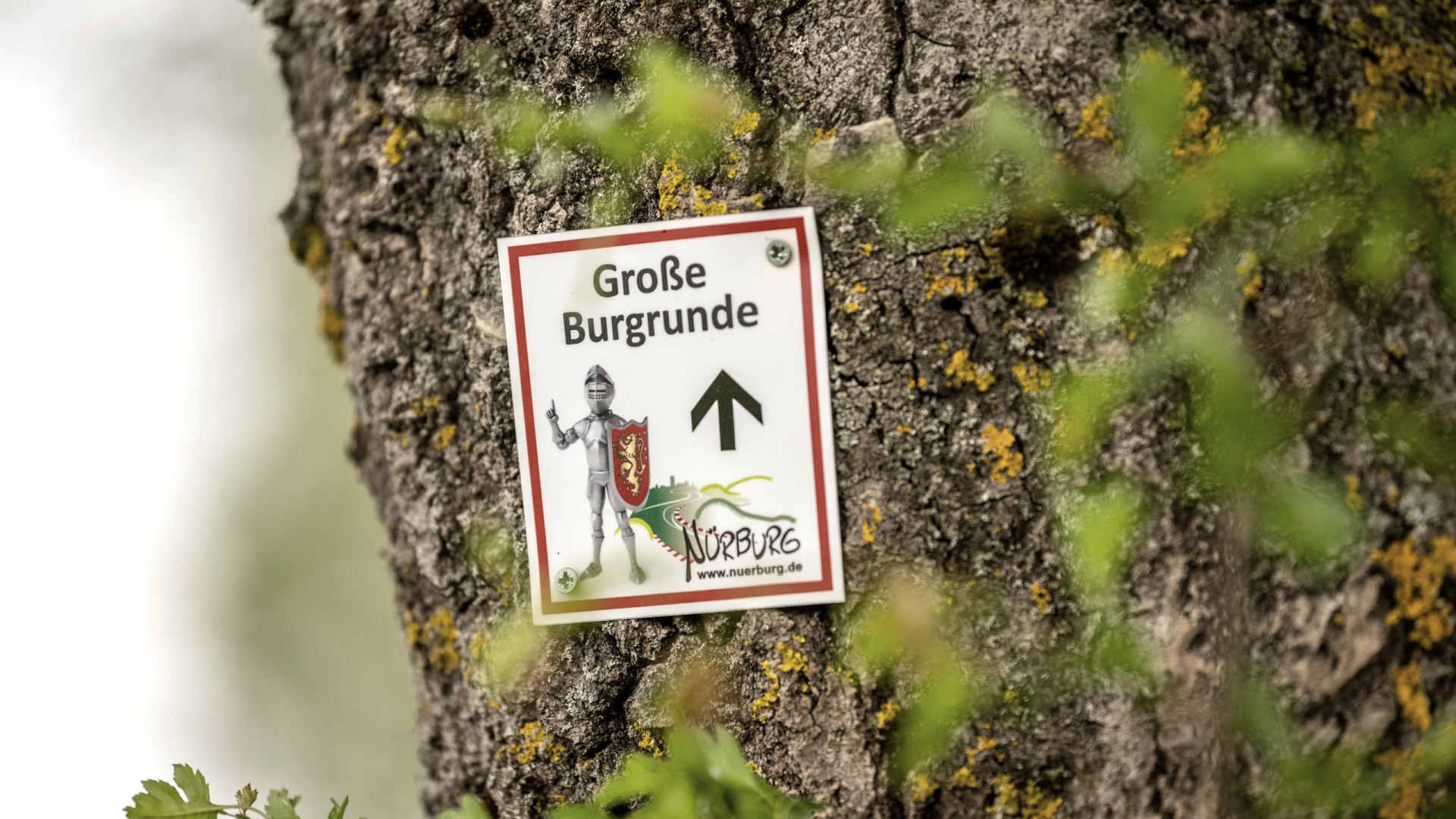 Rundwanderweg um die Burgruine N&uuml;rburg , &copy; TI Hocheifel-N&uuml;rburgring,D.Ketz 