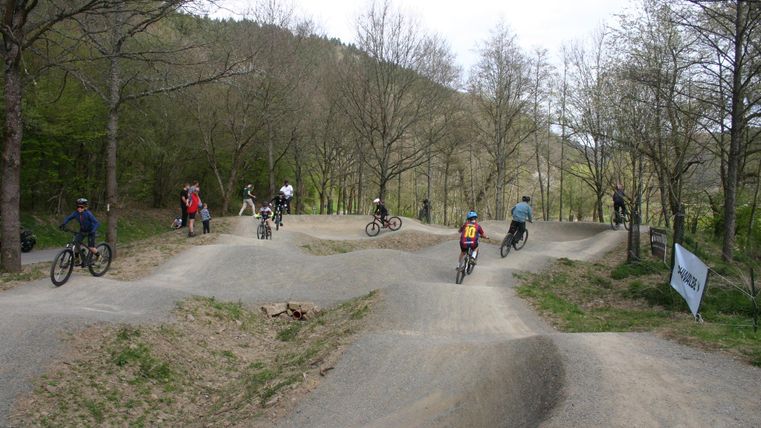 Ein Bikepark mit mehreren Fahrern, die auf einer Strecke mit Hügeln und Kurven fahren. Die Umgebung ist grün mit kahlen Bäumen im Hintergrund.