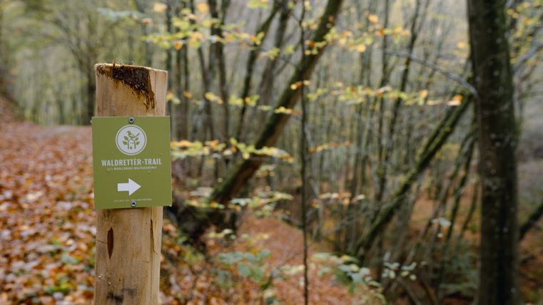 Ein Wegweiser für den Waldretter-Trail im herbstlichen Wald.