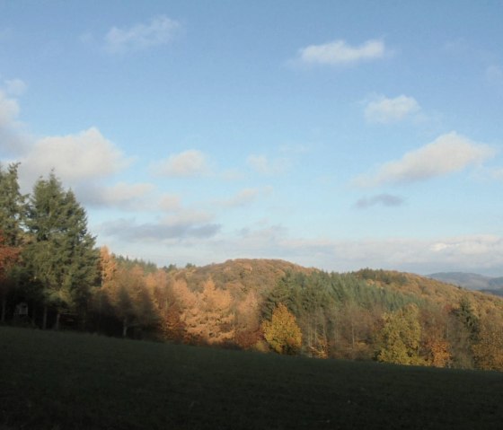 Herbstimpression, &copy; Rita Kaiser