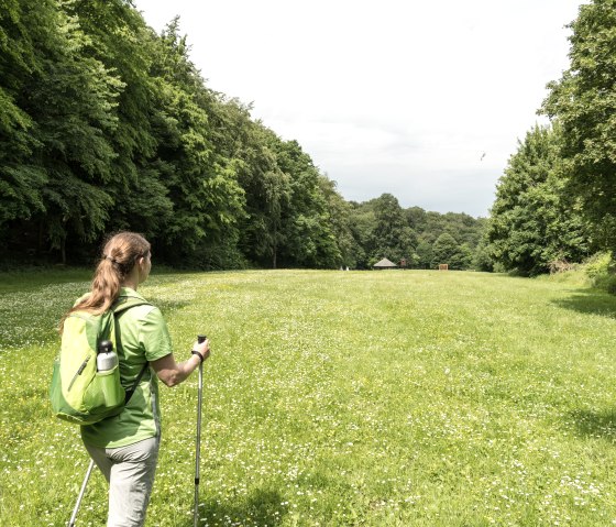 Hikers on the meadow of paradise, © Ahrtaltourismus, Dominik Ketz