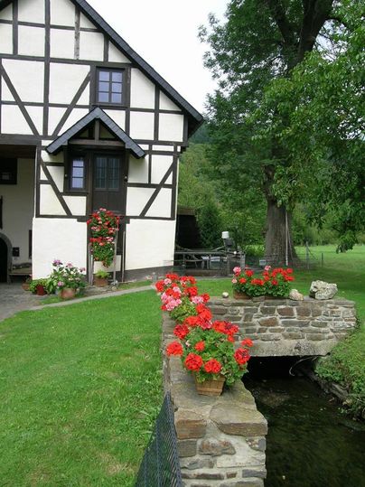A charming half-timbered house with blooming geraniums. A small stream flows past under the cobblestone street.