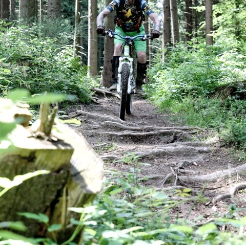 Cross mountain biking, &copy; Schanze Communication