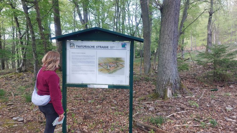 Eine Person steht vor einem Informationsschild im Wald. Der Schild enthält Informationen über die Umgebung und ist von Bäumen umgeben.