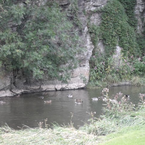 Ahrblick Schuld, &copy; TI Hocheifel-N&uuml;rburgring, Gerd Spitzlay