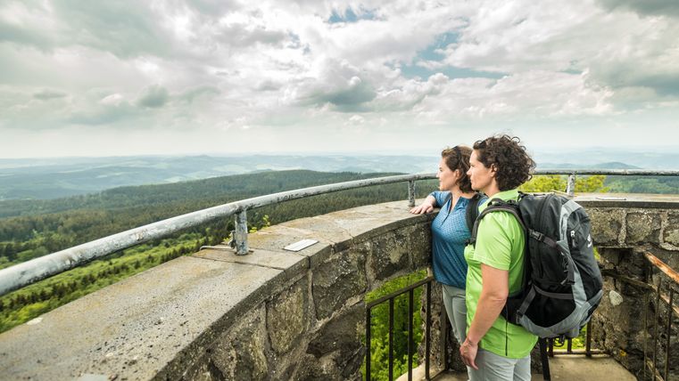 Twee mensen staan op een uitkijktoren en kijken in de verte over een bebost landschap.