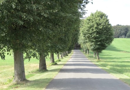 Allee in Aremberg, © Verbandsgemeinde Adenau