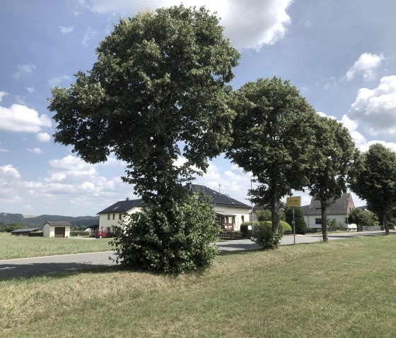 Ortseinfahrt Dorsel, &copy; Ewald