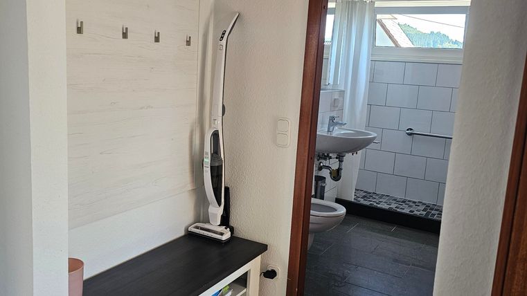 A modern hallway with a wardrobe and a console table. The entrance to a bathroom is visible in the background.