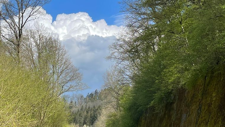 Un chemin étroit traverse un paysage verdoyant avec des arbres et un ciel bleu. Au bout du chemin, des nuages sont visibles.