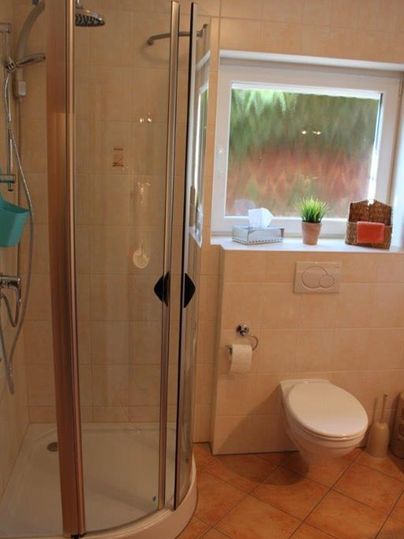 A modern bathroom with a shower cubicle and a window. On the windowsill, there is a plant and there is a toilet in the room.