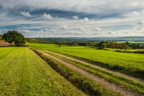 Eine weitläufige grüne Wiese mit einem Schotterweg, der durch die Landschaft führt. Im Hintergrund sind sanfte Hügel und ein bewölkter Himmel zu sehen.