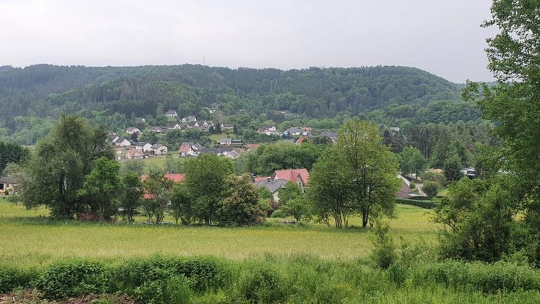 Een schilderachtig landschap met groene velden en een klein dorp op de achtergrond. De zachte heuvels en bomen geven de scène een rustige sfeer.