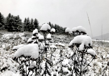 Winterstimmung, &copy; Sebastian Schulte