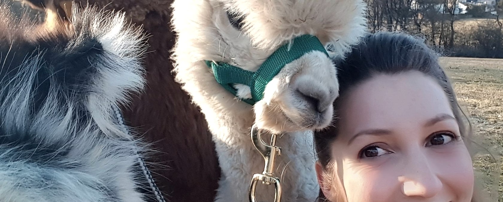 Alpkas am Start, &copy; M.Terzan