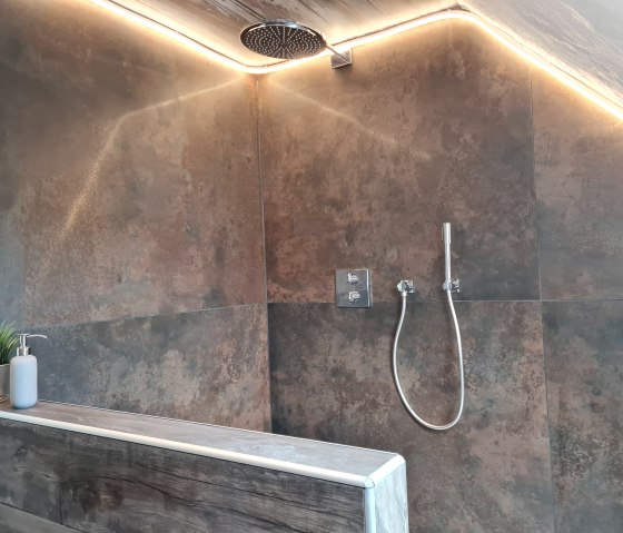 Dusche / WC OG Bild 2, &copy; Hoffmann, Western Cottage Hocheifel