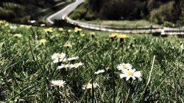 Nordschleife Frühling, © TI Hocheifel-Nürburgring,S:Schulte