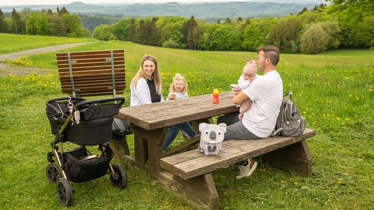 Familie sitzt an einem Picknicktisch in einer grünen Landschaft.