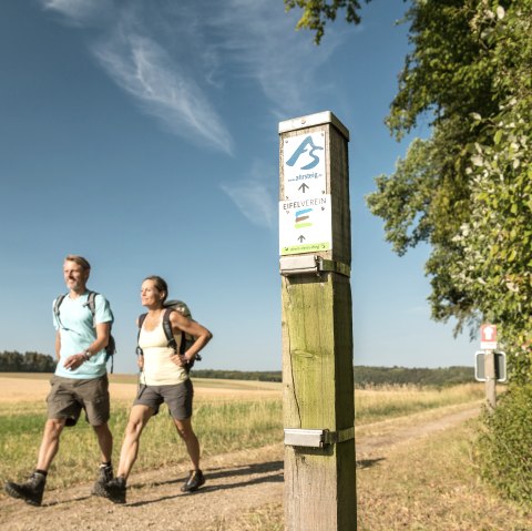Wandern auf dem AhrSteig am Borsberg / Freilingen, © TI Hocheifel-Nürburgirng,Dominik Ketz