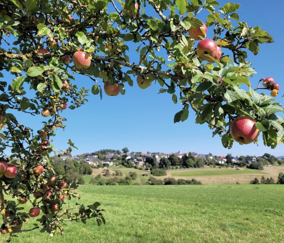 Blick auf Wershofen, &copy; Schmidt FeWo Eifelnest Wershofen