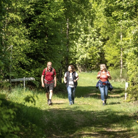 Wandelpaden rond de Nürbrurgring, © TI Hocheifel-Nürburgring, D. Ketz