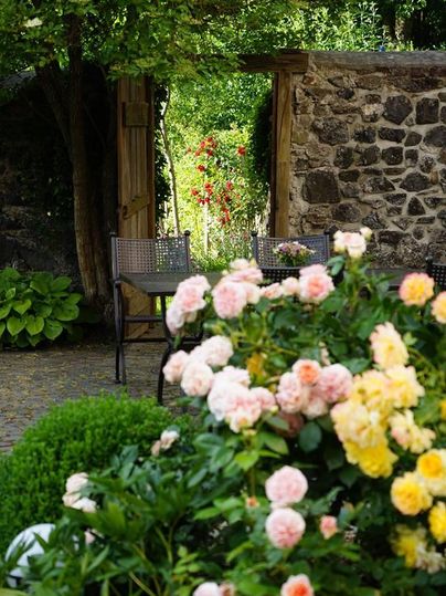 Ein schöner Garten mit bunten Rosen und grünen Pflanzen. Im Hintergrund ist ein Tor zu sehen, das auf einen weiteren Gartenbereich hinweist.