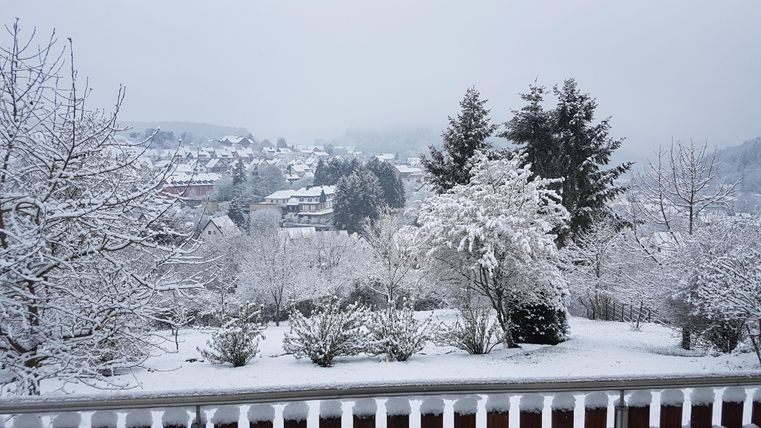 Eine verschneite Landschaft mit Bäumen und Hügeln im Hintergrund. Die Umgebung ist ruhig und winterlich mit einer dichten Schneedecke.