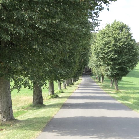 Allee in Aremberg, © Verbandsgemeinde Adenau
