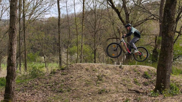 Ein Mountainbiker springt über einen Hügel im Wald. Die Umgebung ist grün und liegt in der Natur.