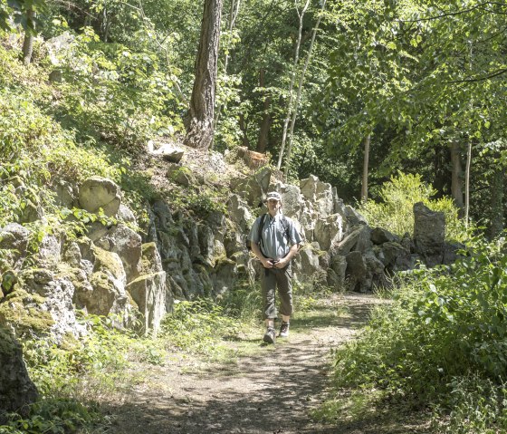 Eine Person wandert auf einem sonnigen Waldweg, umgeben von Felsen und üppigem Grün., © VG Adenau©Kappest