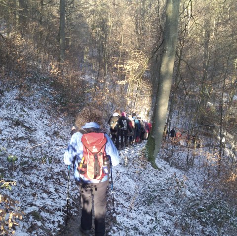 Wandergruppe im Wald 