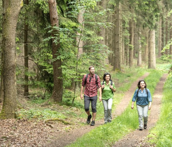 Wanderung durch Waldpassage auf der Eifelleiter, © Eifel Tourismus GmbH, D. Ketz
