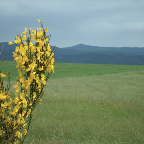 randonnée-autour-de-la-culpabilité_, © Gerd Spitzlay