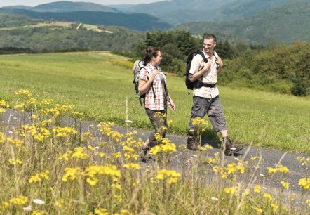 Two hikers on a path in a green landscape with yellow flowers in the foreground and hills in the background., © Ahrtaltourismus e.V.